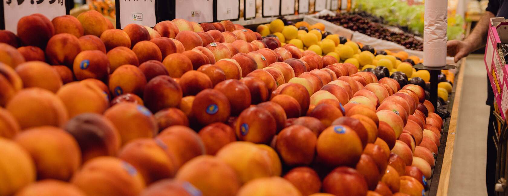 Display of stonefruit - peaches, nectarines, plums and cherries.